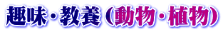 趣味・教養（風土記・旅）